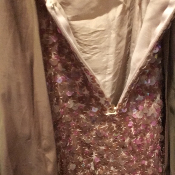 BCBG Maxazria sequin soft pink/plum lovely dress size10 silk needs some mending - Picture 7 of 14